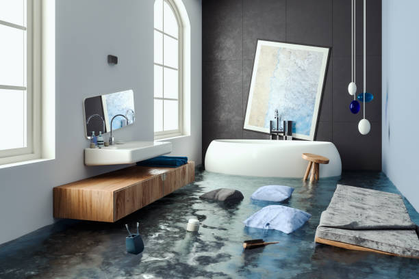 Best Water damage cleanup near me  in Zumbrota, MN