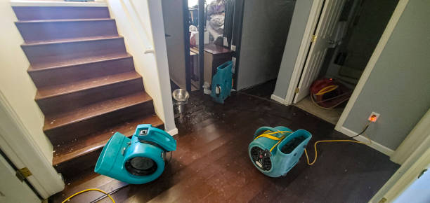 Best Water damage restoration company  in Zumbrota, MN