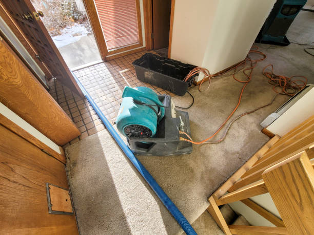 Best Water damage restoration near me  in Zumbrota, MN
