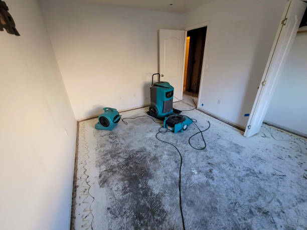 Best Basement water damage restoration  in Zumbrota, MN