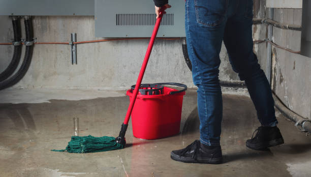 Best Sewage cleanup and water damage restoration  in Zumbrota, MN