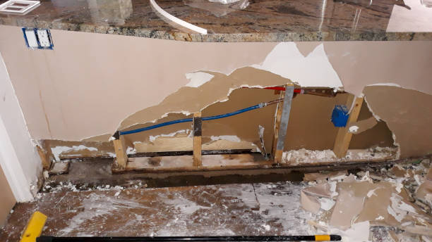 Best Flood restoration services  in Zumbrota, MN