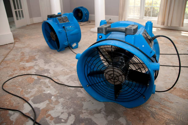 Best Water damage contractors near me  in Zumbrota, MN