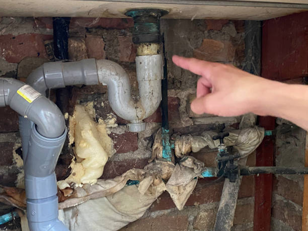 Best Water damage restoration process  in Zumbrota, MN
