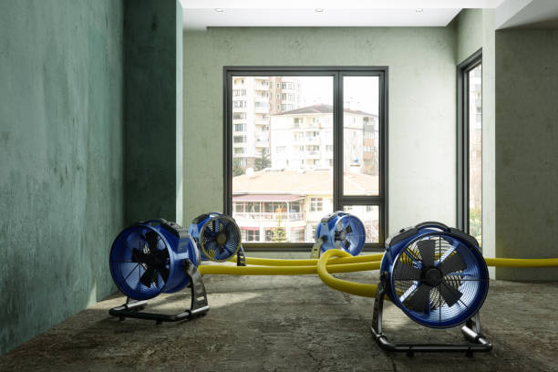 Best Ceiling water damage repair  in Zumbrota, MN