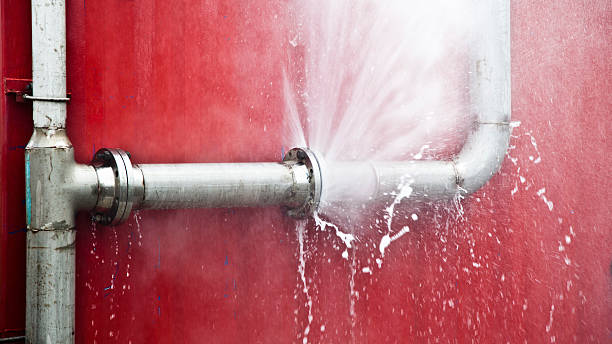 Best Professional water damage repair  in Zumbrota, MN