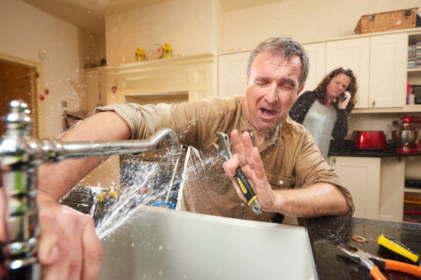 Best Flooded house restoration  in Zumbrota, MN